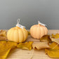Pumkin Candle