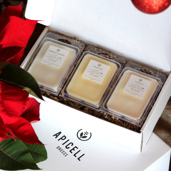 Πακέτο δώρου | Christmas Wax Melts